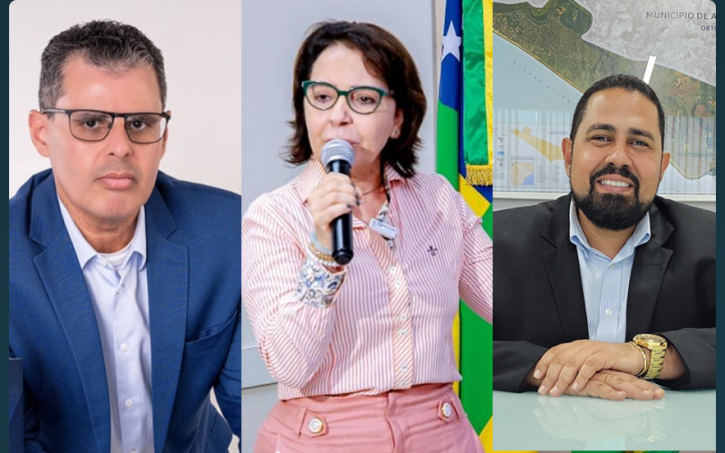 Saiba quem são os pivôs da crise entre Emília e vereadores da base